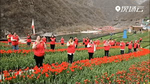  ↑来源：新乡日报（记者：杜广建）