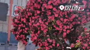 ↑来源：现场云云友（张会军）