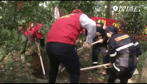 ↑来源：广州广播电视台