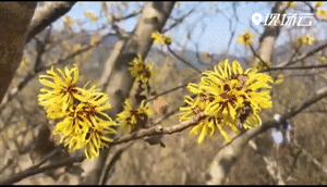 ↑来源：南昌广播电视台（记者：张佳卉）