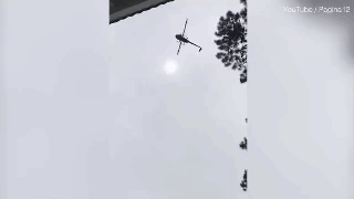 直升机飞过豪宅抛下“死羊”正坠泳池 富商：变