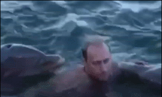 克宫此前发布的普京与海豚戏水录像画面