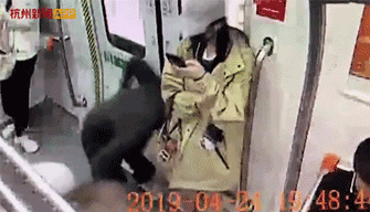 335_192gif 动态图 动图