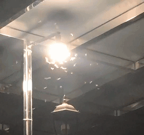  图源：深圳疾控