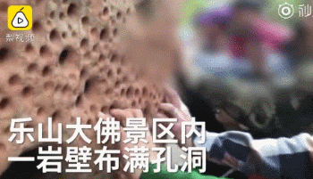 来源：梨视频