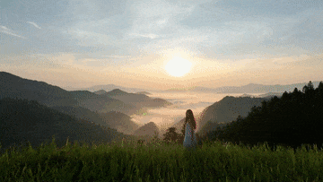 黎平县的茶山与梯田。