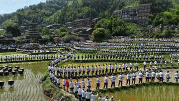 侗族群众在肇兴侗寨前载歌载舞。