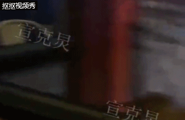 上海知名餐厅老鼠上蹿下跳吓坏食客 服务员：很