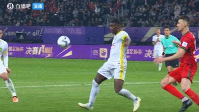 第5次问鼎！国安3-0河南夺足协杯冠军 法比奥戴帽国安获亚冠资格