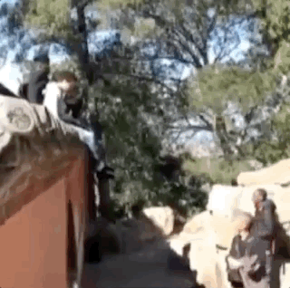  ▲两个外国游客坐在颐和园里的建筑上 （图via微博）