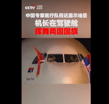 大象午休睡正香 小象撒娇叫起床:扭屁股“蹭蹭蹭”