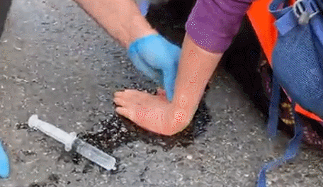 英国抗议者用胶水把自己粘在马路上造成伦敦早高峰大堵车