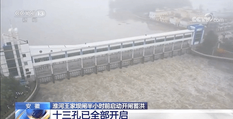 拖家带口，牵牛赶鹅…这里是全网都在感谢的王