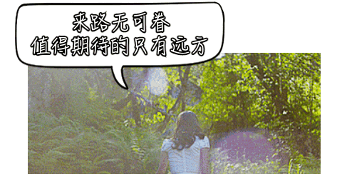 ▲图源:soogif