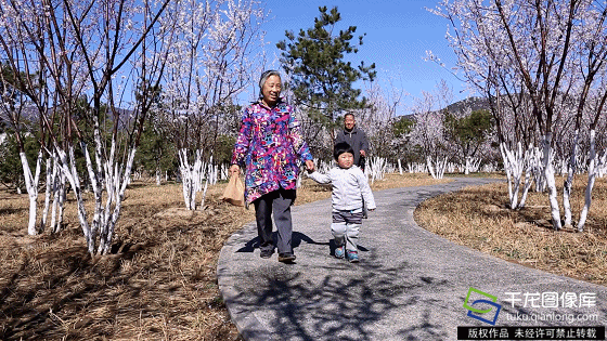 图为妙云城市森林公园（图片来源：tuku.qianlong.com）。千龙网记者 耿子叶摄