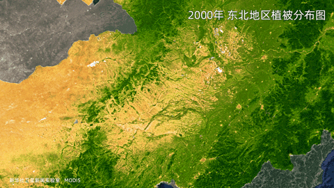 东北地区植被分布动图。（数据来源：MODIS）