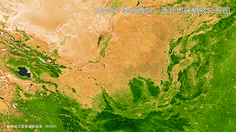 华北西部—西北地区植被分布动图。（数据来源：MODIS）