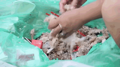 纪录片《分界线》截图