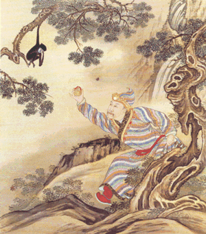 “请自行脑补猴子此时的内心独白”