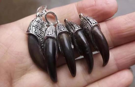 盗墓影视剧盛行穿山甲又多了个灭绝的方式