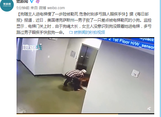 狗随主人进电梯慢一步险被勒死 监控拍下惊险一