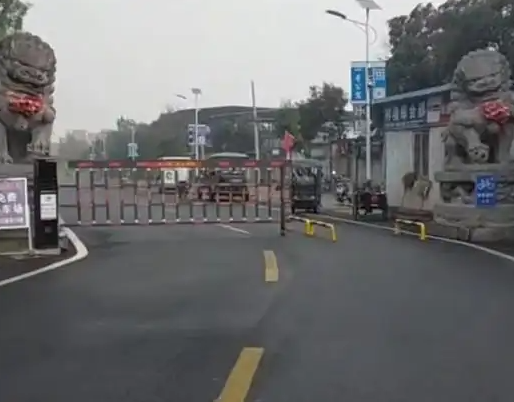 村庄设环保监测点，发通知限制燃油车进村？河南新乡当地回应：注意到石墩堵路，正核查