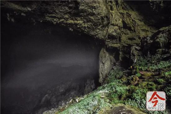 弄乐天坑底部的巨大洞穴，蒸腾着深不可测的迷雾。
