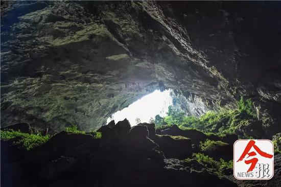 弄乐天坑底部的洞穴入口。