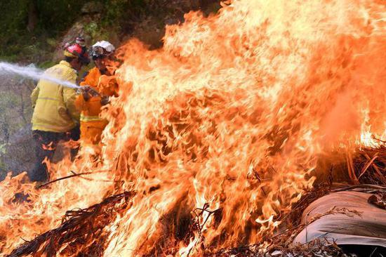  澳大利亚东海岸林火持续蔓延。 新华社/法新