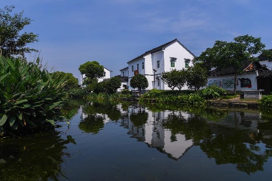 浙江省嘉善市姚庄镇横港村一景。新华社记者 徐昱 摄