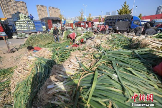 资料图:大葱等冬储菜进入销售旺季。武俊杰 摄