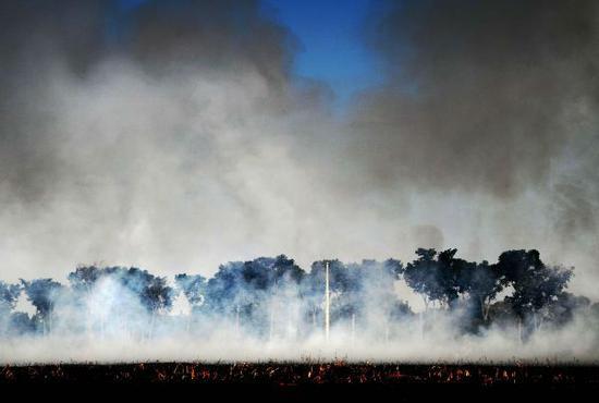 这是8月9日在巴西马托格罗索州西诺普拍摄的火势。据外媒报道，根据近日公布的卫星数据，近期巴西亚马孙雨林的森林火灾数量比去年同期大幅上涨。新华社/法新