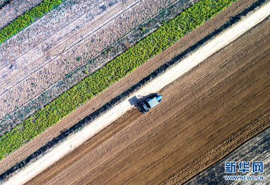 在河北省武安市大同镇马会村，农民驾驶农机在田间忙碌（3月20日摄，无人机照片）。 新华社记者 王晓 摄