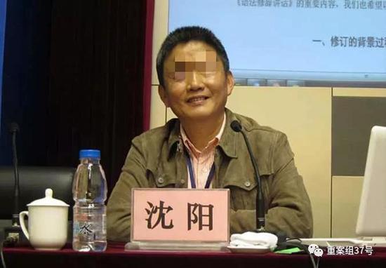 ▲南京大学教授沈阳。 资料图片