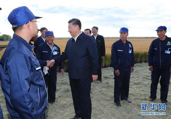 9月25日至28日，中共中央总书记、国家主席、中央军委主席习近平在东北三省考察，主持召开深入推进东北振兴座谈会。这是25日下午，习近平在黑龙江农垦建三江管理局七星农场万亩大地号，察看秋稻收获情况并同收割机驾驶员亲切交谈。 新华社记者 谢环驰 摄