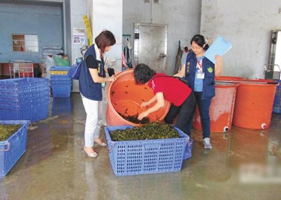 被查获的海带。(图片来源:香港东网)
