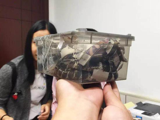 咬伤小李的那条银环蛇被装在塑料盒内。  本文图片均为杭州市中医院提供