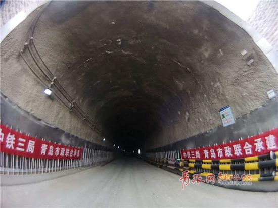 本文图片均来自青报网