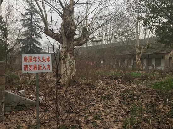 江南水泥厂旧址里年久失修的房子。落叶可没踝。