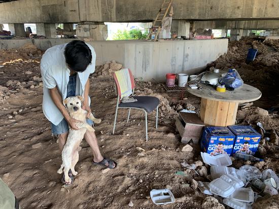 杨宇和收留的流浪狗一起，住在松岗的一处高架桥底。新京报记者周小琪 摄
