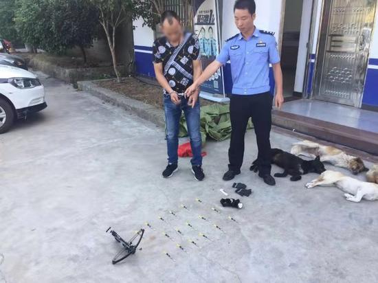 现场查获作案工具弓弩一支,毒镖18支,射杀毒死的土狗10只.