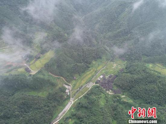 地处九万大山腹地的达佑教学点。