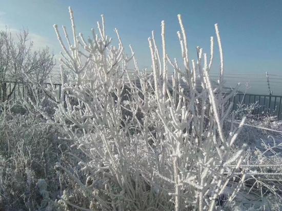 房山区百花山雪景