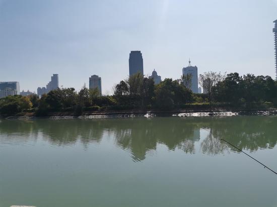 12月1日,周末,筼筜湖畔,劳荣枝曾密集活动于这一带。新京报记者 韩茹雪 摄