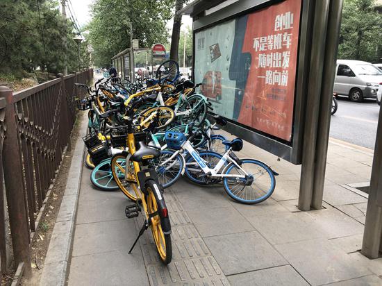 记者在朝阳区京密路丽都饭店公交车站发现,近50辆共享单车被杂乱地叠放在一起,将人行道与盲道完全堵死。摄影 新京报记者 罗晓静 摄