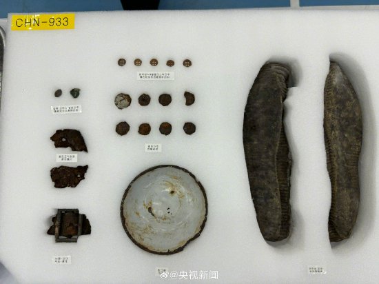 28圈预测加拿大师准
