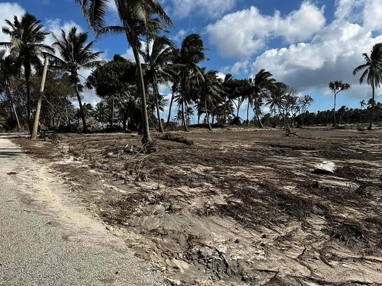 当地时间2022年1月20日，汤加首都努库阿洛法，火山喷发后，当地遍布火山灰。/IC photo