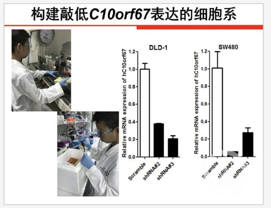 ▲陈某石同学在基因实验中。图片来源/全国青少年科技创新大赛官网