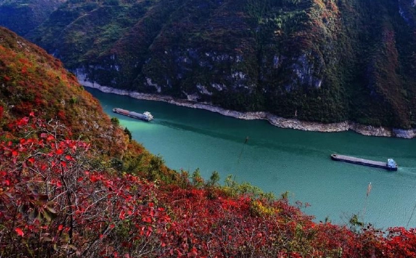 重庆巫山：红叶映峡江