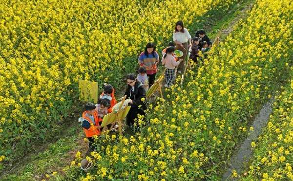 江西抚州：儿童油菜花田“画春天”